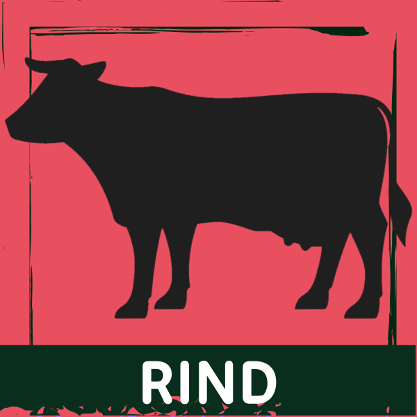 I K Rind Dr. Ziegler's kaltgepresstes Hundefutter vom Rind