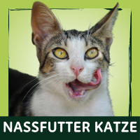 Nassfutter Katze