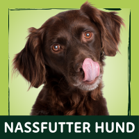 Nassfutter Hund