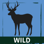 Wild