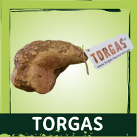 Torgas