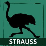 Dr. Ziegler Naturfutter &ndash; Strau&szlig;,...