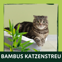 Bambus Katzenstreu