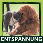 Entspannung