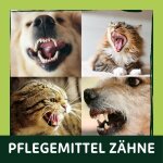 Pflegemittel Zähne
