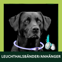 Leuchthalsbänder/ Anhänger