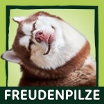 Freudenpilze