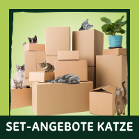 Gatto