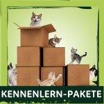 Kennenlern-Pakete
