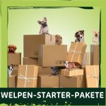 Welpen-Starter-Pakete