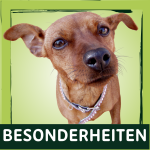 Besonderheiten