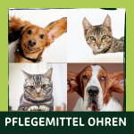 Sanfte Ohrenpflege f&uuml;r Hund und Katze...