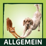 Allgemein