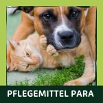 Pflegemittel Para