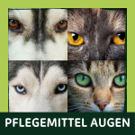 Sanfte Augenpflege f&uuml;r Hund und Katze...
