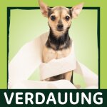 Verdauung