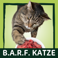 B.A.R.F. Katze