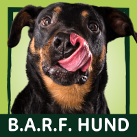 B.A.R.F. Hund