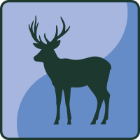 Hirsch