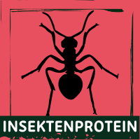 Insektenprotein