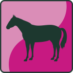 Pferd