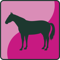 Pferd