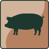 Schwein