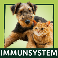Immune System