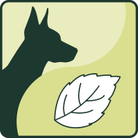Kräuter