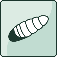 Insekten