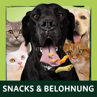 Snacks & Belohnung
