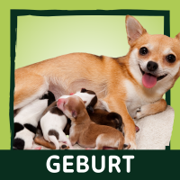 Birth