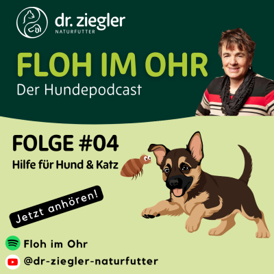 Podcast-Folge #04: Was Hunden &amp; Katzen wirklich hilft - Dr. Ziegler\'s BARF Podcast | Was Hunden &amp; Katzen wirklich hilft
