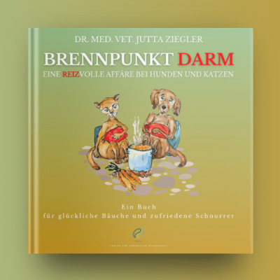 Neues Buch: Brennpunkt Darm - Brennpunkt Darm – Dr. Jutta Ziegler