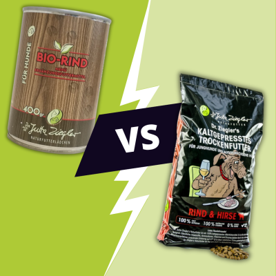 Kaltgepresstes Trockenfutter vs. Nassfutter: Was ist das beste Futter für meinen Hund? - 