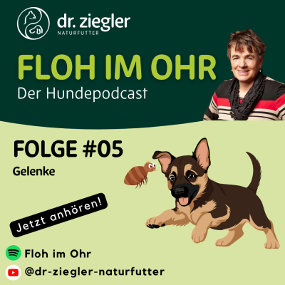 Podcast-Folge #05: Gelenke - Dr. Ziegler\'s Podcast | Gelenke