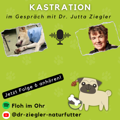 Episodio n. 06 del podcast: Castrazione - Il podcast del dott. Ziegler | Castrazione