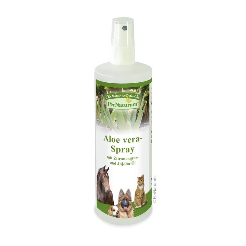 weiße aloe vera kaufen 10 Pflaster-Strips weiß 