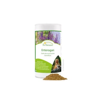 PerNaturam Enterogan 250 g