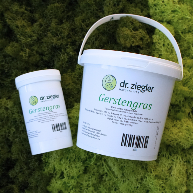 Gerstengras Pulver fr Hunde & Katzen | Dr. Ziegler Naturfutter