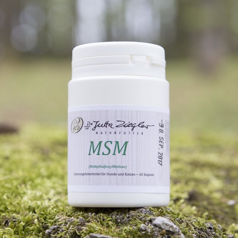 MSM 60 Kapseln von Dr. Ziegler kaufen | Dr. Ziegler Naturfutter