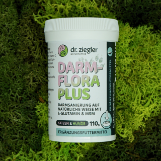 Darmflora Plus 110 g
